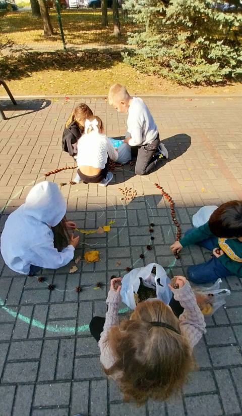 Zdjęcie 16