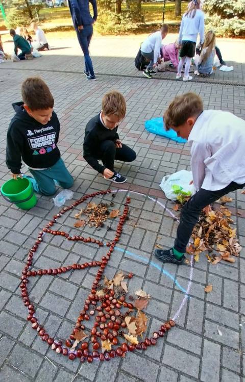 Zdjęcie 13