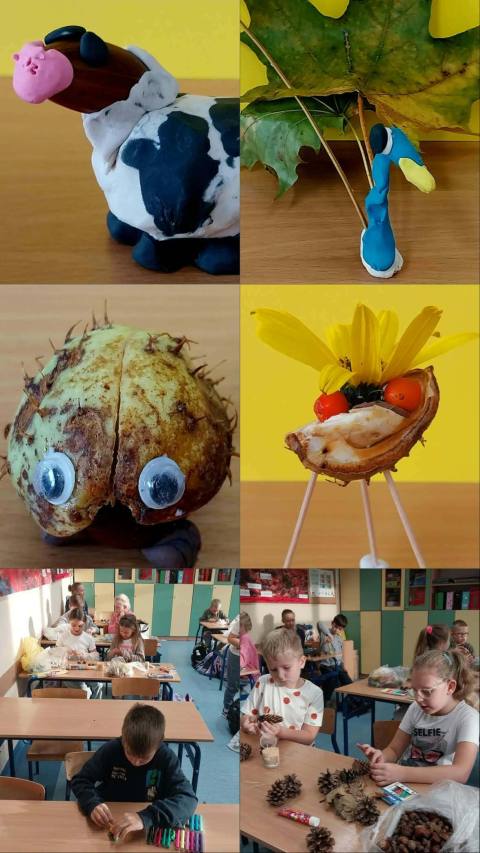 Zdjęcie 8