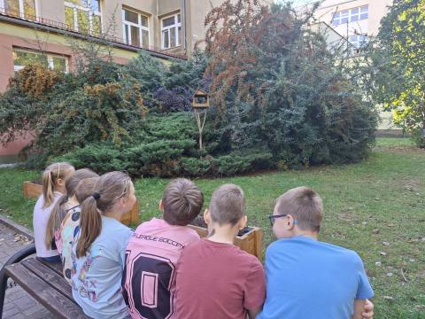 Zdjęcie 1