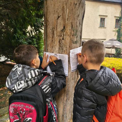 Zdjęcie 9
