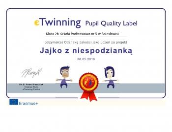 etw_pupilcertificate_146334_pl-1