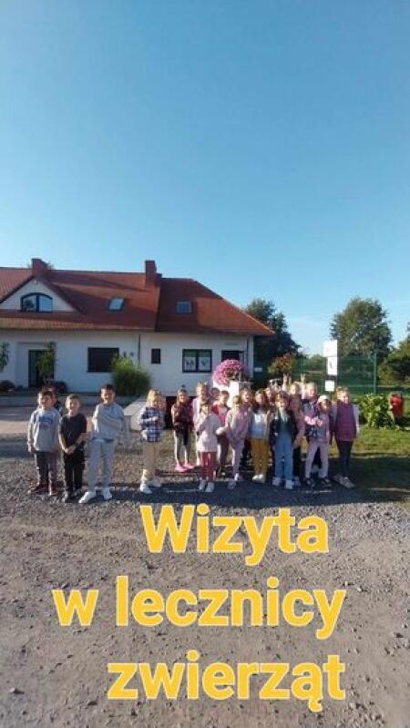 WIZYTA U WETERYNARZA