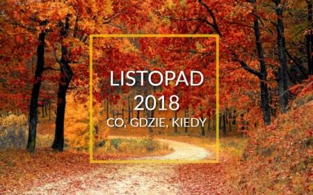 NAJWAŻNIEJSZE WYDARZENIA SZKOLNE - LISTOPAD 2018